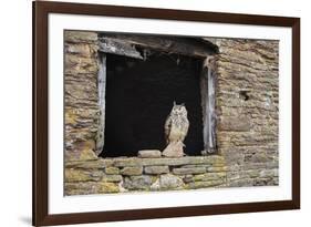 Indian Eagle Owl (Bubo Bengalensis), Herefordshire, England, United Kingdom-Janette Hill-Framed Photographic Print