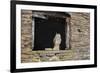 Indian Eagle Owl (Bubo Bengalensis), Herefordshire, England, United Kingdom-Janette Hill-Framed Photographic Print