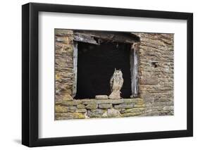 Indian Eagle Owl (Bubo Bengalensis), Herefordshire, England, United Kingdom-Janette Hill-Framed Photographic Print