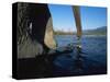 Indian Elephant Close Up of Trunk and Feet at Water Edge, Manas Np, Assam, India-Jean-pierre Zwaenepoel-Stretched Canvas