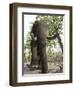 Indian Elephant (Elephus Maximus), Bandhavgarh National Park, Madhya Pradesh State, India, Asia-Thorsten Milse-Framed Photographic Print