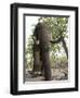 Indian Elephant (Elephus Maximus), Bandhavgarh National Park, Madhya Pradesh State, India, Asia-Thorsten Milse-Framed Photographic Print