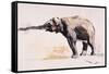 Indian Elephant, Khana-Mark Adlington-Framed Stretched Canvas