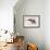 Indian Elephant, Khana-Mark Adlington-Framed Giclee Print displayed on a wall