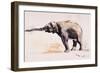 Indian Elephant, Khana-Mark Adlington-Framed Giclee Print