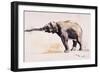 Indian Elephant, Khana-Mark Adlington-Framed Giclee Print