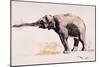 Indian Elephant, Khana-Mark Adlington-Mounted Giclee Print