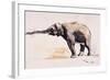 Indian Elephant, Khana-Mark Adlington-Framed Giclee Print