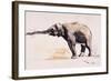 Indian Elephant, Khana-Mark Adlington-Framed Giclee Print