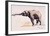 Indian Elephant, Khana-Mark Adlington-Framed Giclee Print