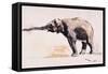 Indian Elephant, Khana-Mark Adlington-Framed Stretched Canvas