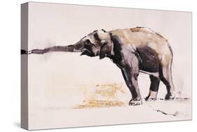 Indian Elephant, Khana-Mark Adlington-Stretched Canvas