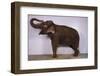 Indian Elephant Making Noise-DLILLC-Framed Photographic Print