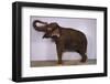 Indian Elephant Making Noise-DLILLC-Framed Photographic Print