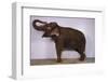 Indian Elephant Making Noise-DLILLC-Framed Photographic Print