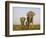 Indian Elephant Mother with 5-Day Baby and its Older Sibling, Controlled Conditions, Assam, India-T.j. Rich-Framed Photographic Print