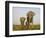 Indian Elephant Mother with 5-Day Baby and its Older Sibling, Controlled Conditions, Assam, India-T.j. Rich-Framed Photographic Print