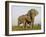 Indian Elephant Mother with 5-Day Baby and its Older Sibling, Controlled Conditions, Assam, India-T.j. Rich-Framed Photographic Print