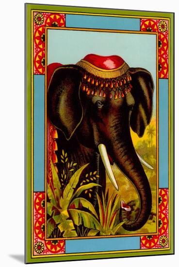 Indian Elephant with Beanie-null-Mounted Art Print