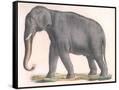 Canvas Black