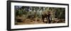 Indian Elephants in a Sanctuary, Punnathurkotta, Guruvayur, Kerala, India-null-Framed Photographic Print