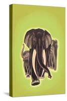 Indian Elephants-Robert Harrer-Stretched Canvas