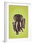 Indian Elephants-Robert Harrer-Framed Art Print