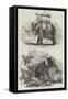 Indian Elephants-William Carpenter-Framed Stretched Canvas