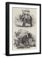 Indian Elephants-William Carpenter-Framed Giclee Print