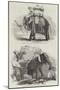 Indian Elephants-William Carpenter-Mounted Giclee Print