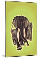 Indian Elephants-Robert Harrer-Mounted Art Print