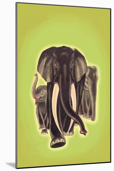 Indian Elephants-Robert Harrer-Mounted Art Print