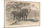 Wood Mount