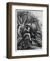 Indian Extracting Pulque, Mexico, 19th Century-Edouard Riou-Framed Giclee Print