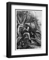 Indian Extracting Pulque, Mexico, 19th Century-Edouard Riou-Framed Giclee Print