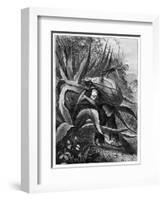 Indian Extracting Pulque, Mexico, 19th Century-Edouard Riou-Framed Giclee Print