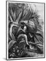 Indian Extracting Pulque, Mexico, 19th Century-Edouard Riou-Mounted Giclee Print