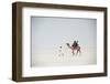 Indian Family Enjoying a Camel Ride in the White Desert-Annie Owen-Framed Photographic Print