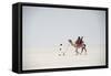 Indian Family Enjoying a Camel Ride in the White Desert-Annie Owen-Framed Stretched Canvas