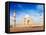 Indian Famous Landmark - India Travel Background Taj Mahal. Agra, Uttar Pradesh, India-f9photos-Framed Stretched Canvas