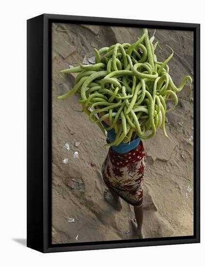 Indian Farmer Carries Cucumbers to Sell in the Market on the Outskirts of Allahabad, India-null-Framed Stretched Canvas