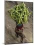 Indian Farmer Carries Cucumbers to Sell in the Market on the Outskirts of Allahabad, India-null-Mounted Photographic Print