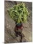 Indian Farmer Carries Cucumbers to Sell in the Market on the Outskirts of Allahabad, India-null-Mounted Photographic Print