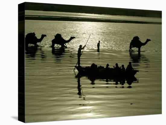 Indian Farmers Carry Watermelon across the River Ganges on their Camels in Allahabad, India-null-Stretched Canvas