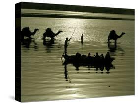 Indian Farmers Carry Watermelon across the River Ganges on their Camels in Allahabad, India-null-Stretched Canvas