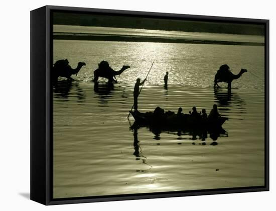 Indian Farmers Carry Watermelon across the River Ganges on their Camels in Allahabad, India-null-Framed Stretched Canvas