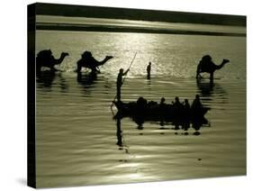 Indian Farmers Carry Watermelon across the River Ganges on their Camels in Allahabad, India-null-Stretched Canvas