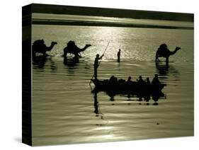 Indian Farmers Carry Watermelon across the River Ganges on their Camels in Allahabad, India-null-Stretched Canvas