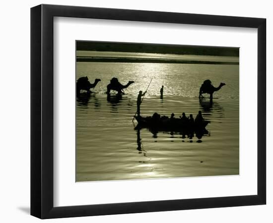 Indian Farmers Carry Watermelon across the River Ganges on their Camels in Allahabad, India-null-Framed Photographic Print