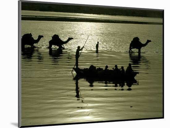 Indian Farmers Carry Watermelon across the River Ganges on their Camels in Allahabad, India-null-Mounted Photographic Print